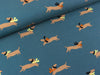 Reststück 45cm - Baumwolljersey Dachshund bunt auf Jeansblau