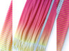 Reststück 150cm - Hamburger Liebe Fringe Me Dip Dye Pink mit Fransenborte